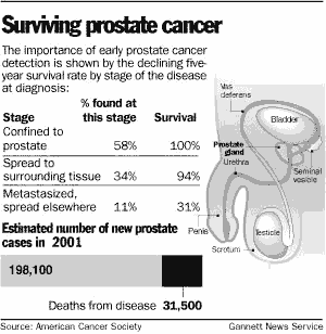 diagram of prostate area
