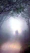couple on foggy road