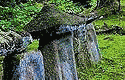 reduced photo of carved stones in field